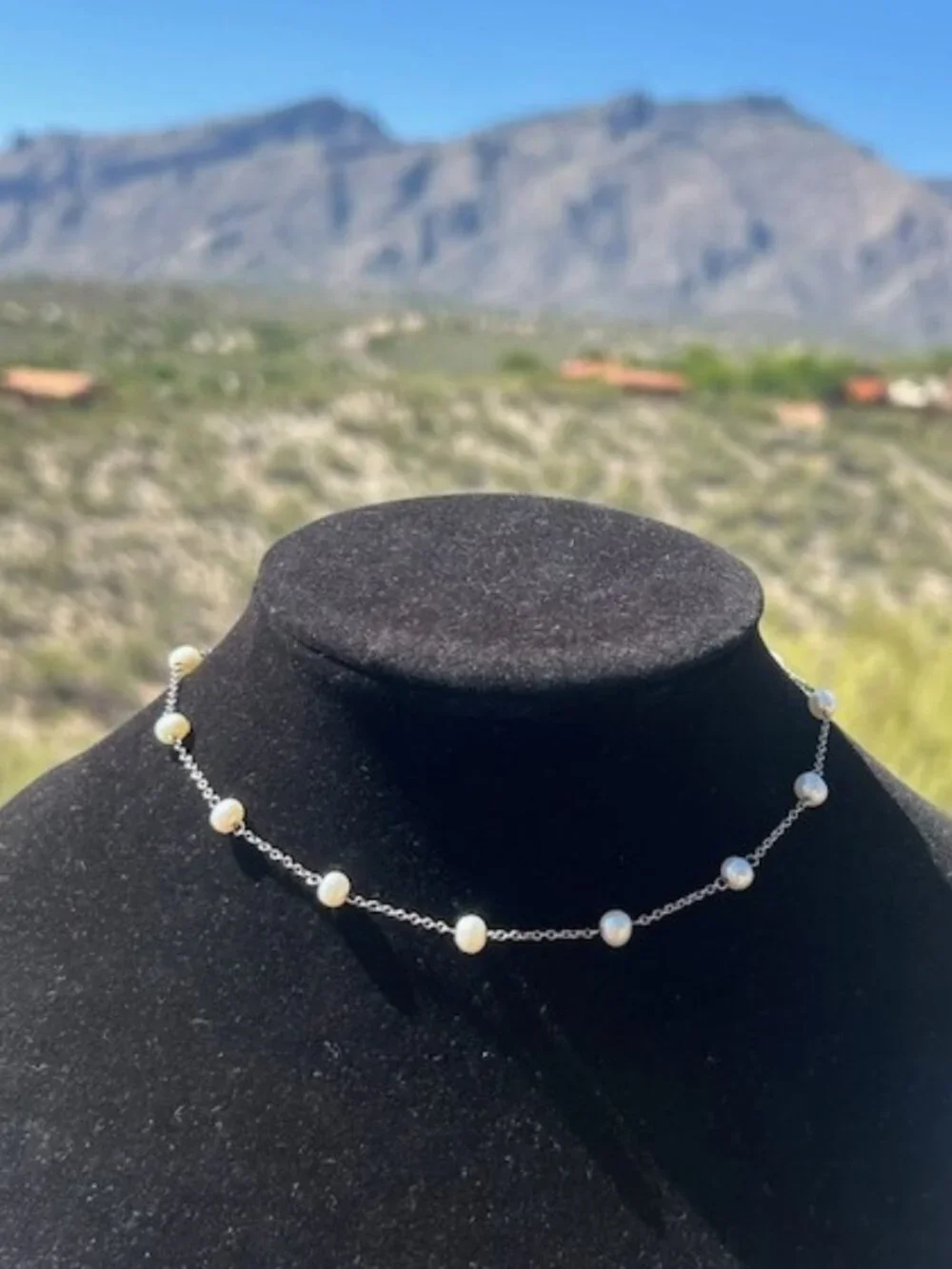 CAROLEE Sterling Silver Freshwater Pearl & Toggle Clasp NECKLACE_3